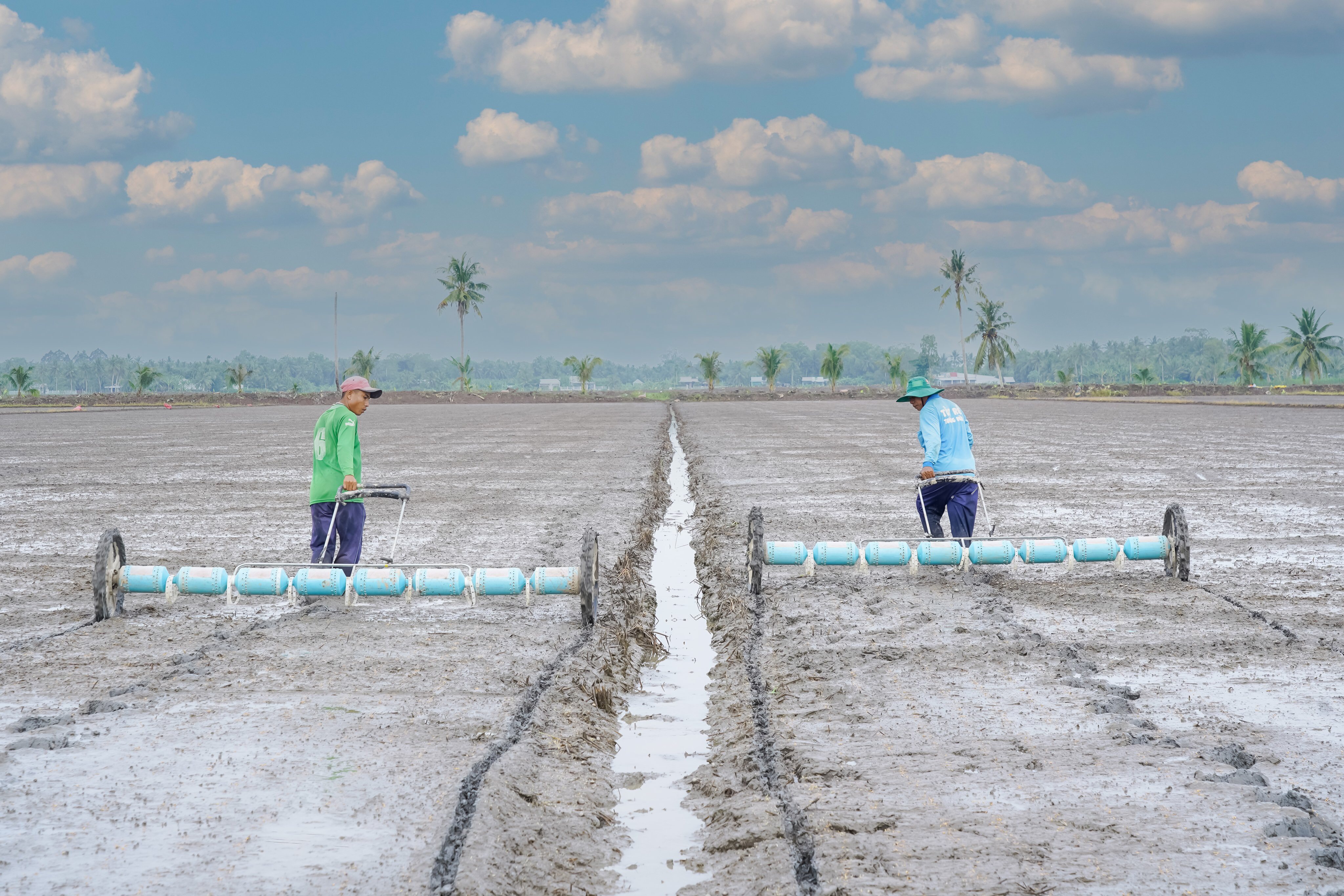 A An đang t&iacute;ch cực li&ecirc;n kết sản xuất - ti&ecirc;u thụ với c&aacute;c HTX ở nhiều địa phương tại ĐBSCL để bắt đầu một vụ m&ugrave;a mới.