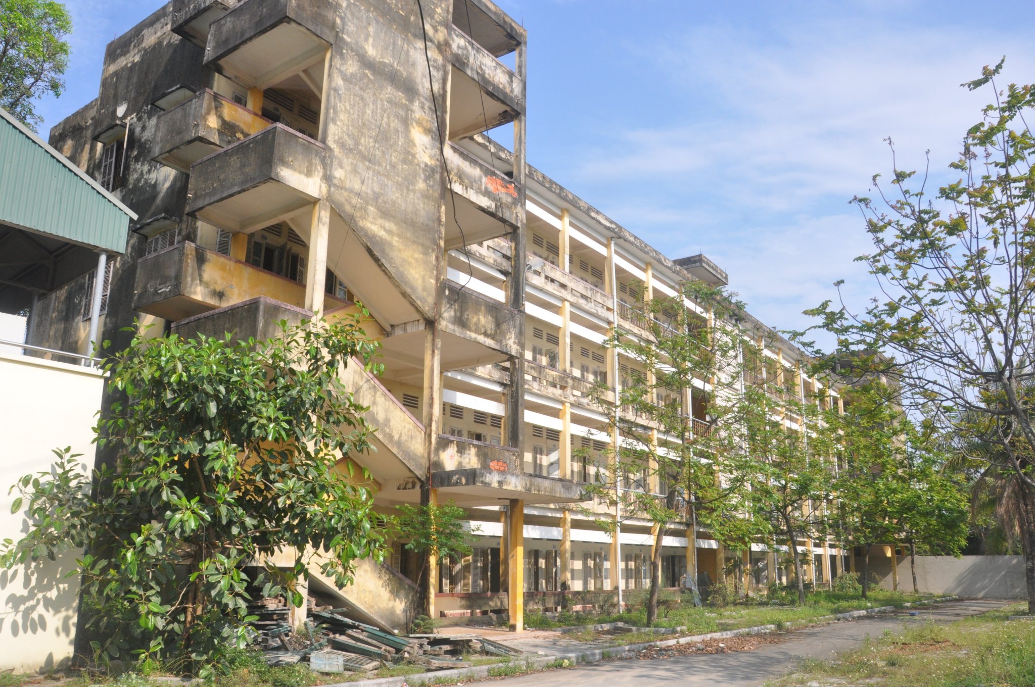 Rêu mốc mọc khắp nơi