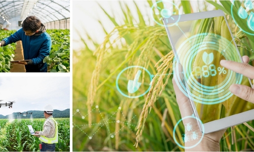 Quét sạch môi trường, kết hợp chuyển đổi số để có nông thôn mới thông minh