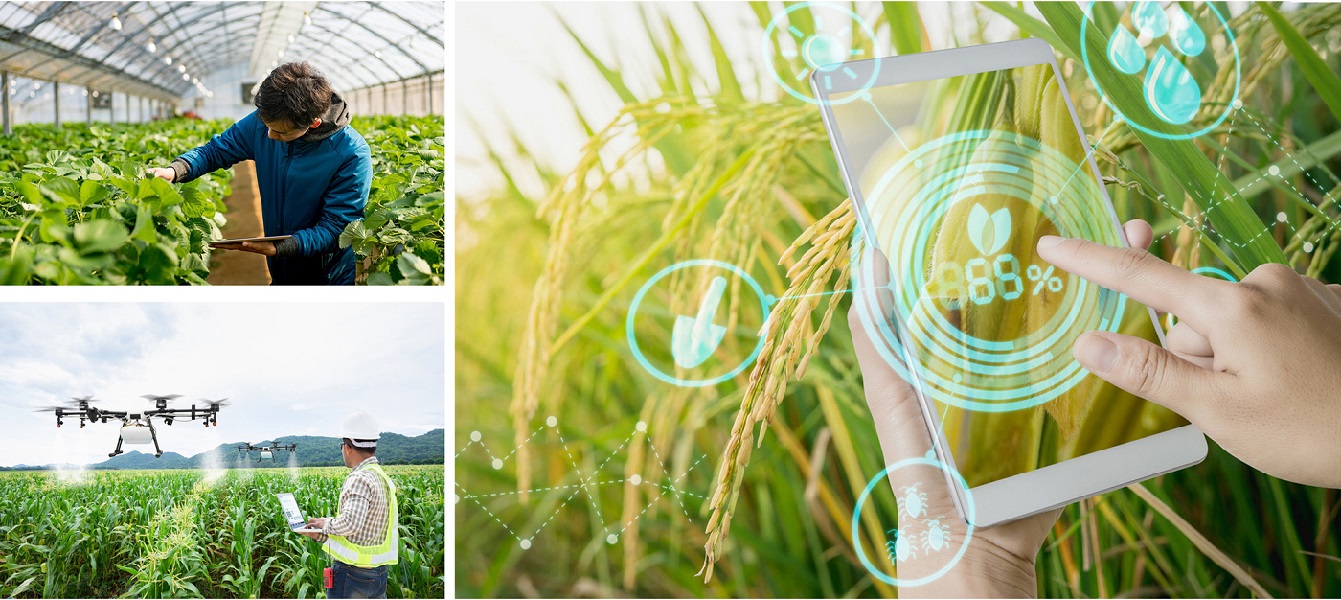 Chuyển đổi số hướng tới nông thôn mới thông minh.