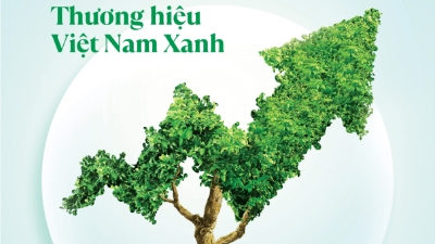 Kiến tạo và Phát triển Thương hiệu Mạnh Việt Nam 2022