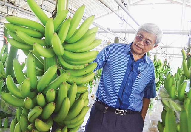 Ông Võ Quan Huy, Giám đốc Công ty TNHH Huy Long An.