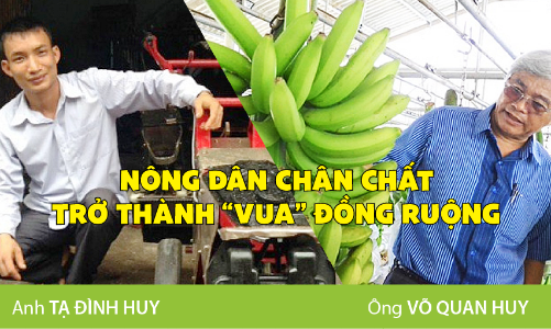 Nông dân chân chất trở thành “Vua” đồng ruộng
