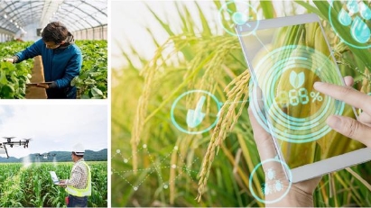 Programs to drive rural development adopted