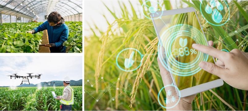 Programs to drive rural development adopted