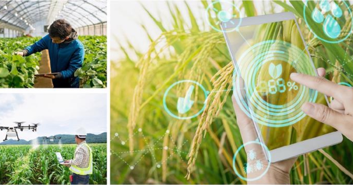Smart Rural Development Program Programs to drive rural development adopted - VnEconomy