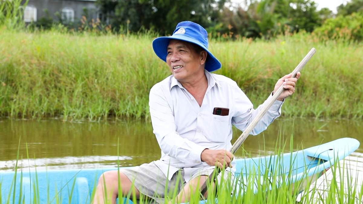 Dẫn ch&uacute;ng t&ocirc;i ra những c&aacute;nh đồng l&uacute;a - t&ocirc;m vừa xuống giống từ cuối th&aacute;ng 8 &acirc;m lịch, b&aacute;c Cung vui vẻ kể về những c&aacute;nh đồng l&uacute;a đặc biệt nơi đất mũi.