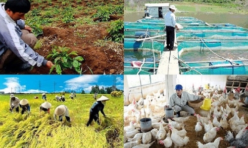 Vượt khó khăn, sản xuất nông nghiệp tiếp tục khả quan