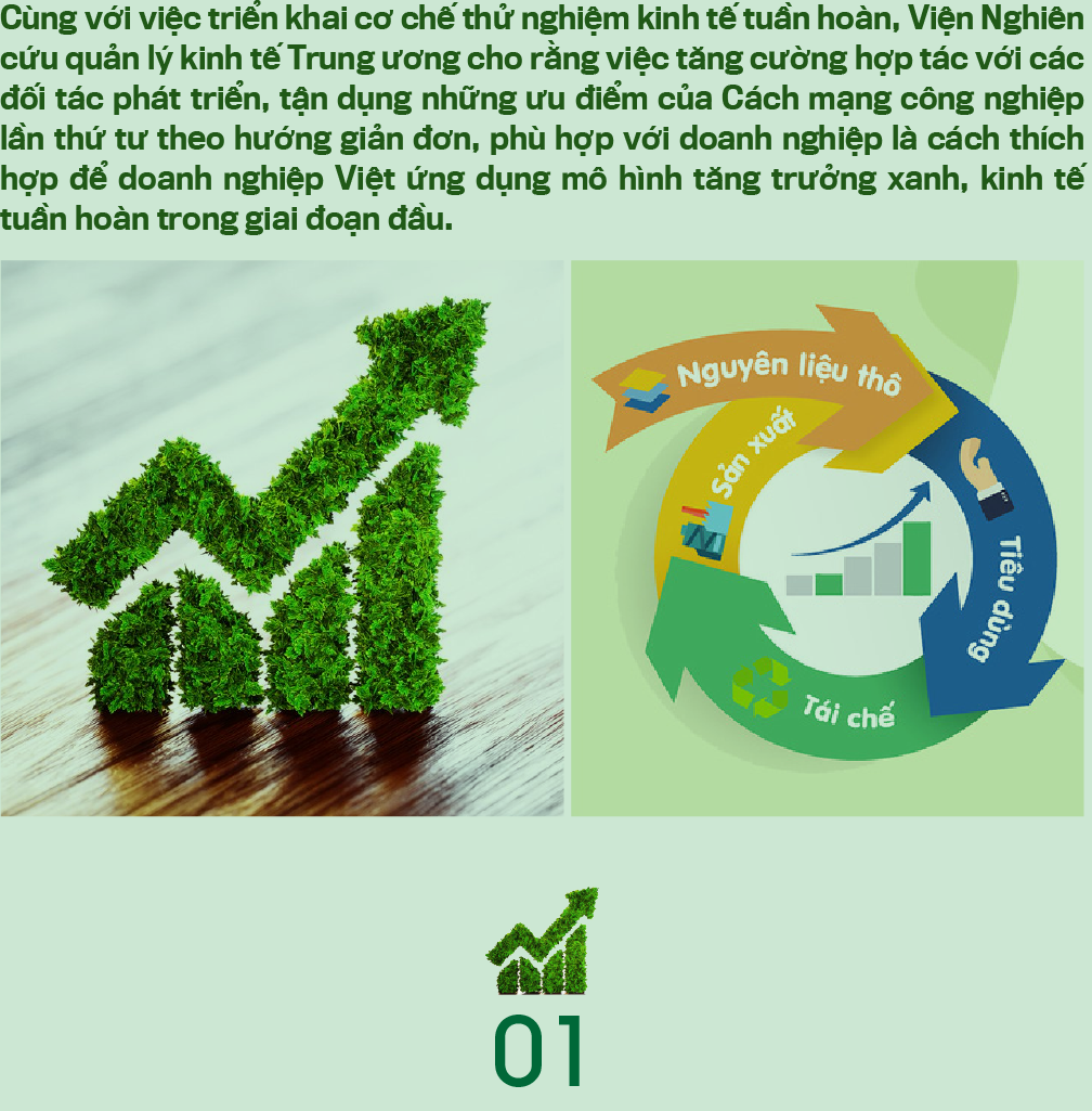 Cách thích hợp cho tăng trưởng xanh với doanh nghiệp Việt  - Ảnh 2