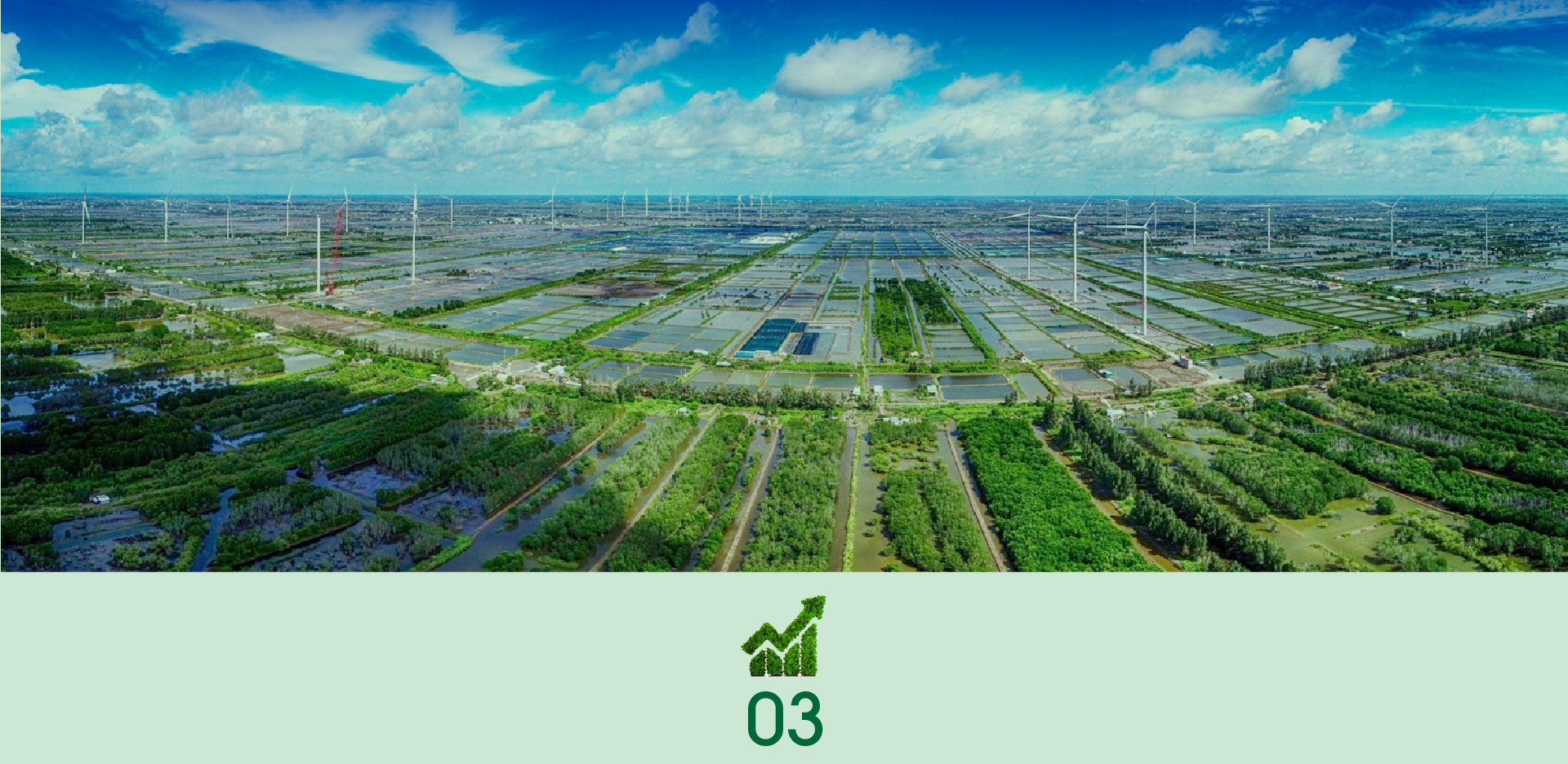 Cách thích hợp cho tăng trưởng xanh với doanh nghiệp Việt  - Ảnh 4