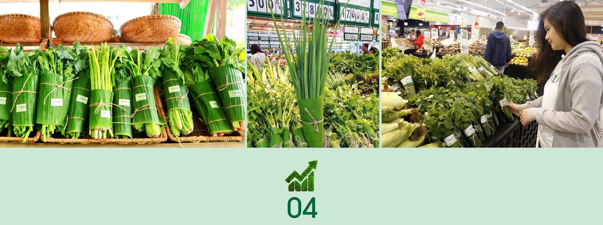 Cách thích hợp cho tăng trưởng xanh với doanh nghiệp Việt  - Ảnh 5