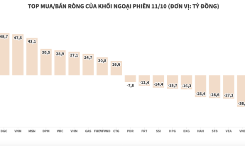 Khối ngoại giải ngân gần 133 tỷ đồng trong phiên VN-Index suýt thủng mốc 1.000 điểm