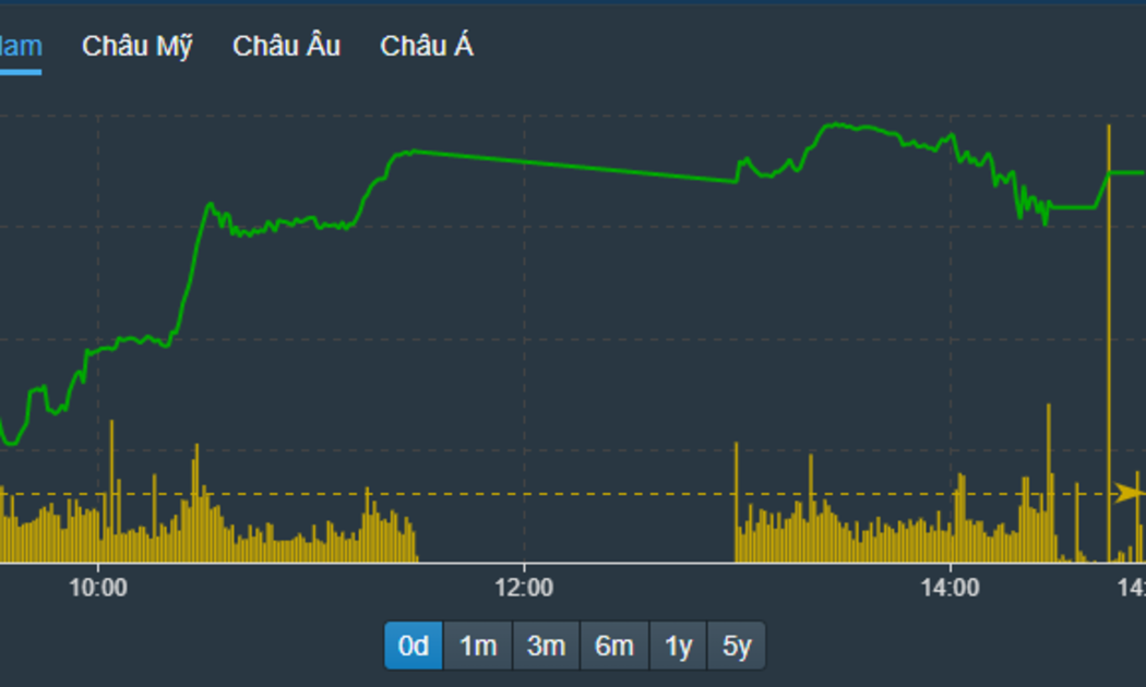VN-Index không tăng thêm được, nhưng vẫn đủ sức neo rất cao.