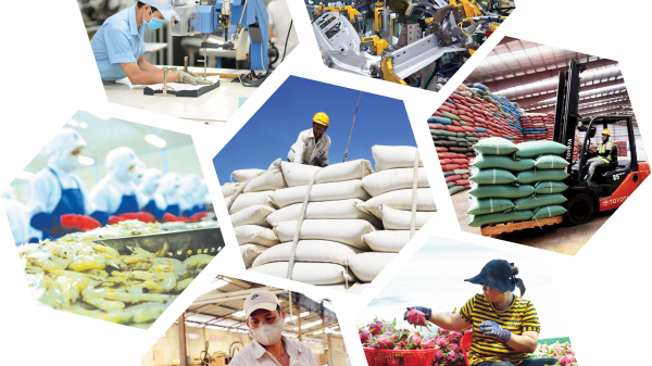 Định vị thương hiệu sản phẩm Việt trên thị trường xuất khẩu