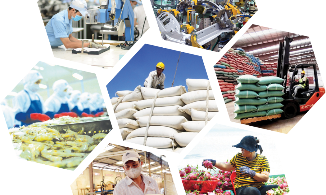 Nhiều mặt hàng xuất khẩu đứng top đầu thế giới nhưng không có nhiều sản phẩm được gắn thương hiệu doanh nghiệp Việt.