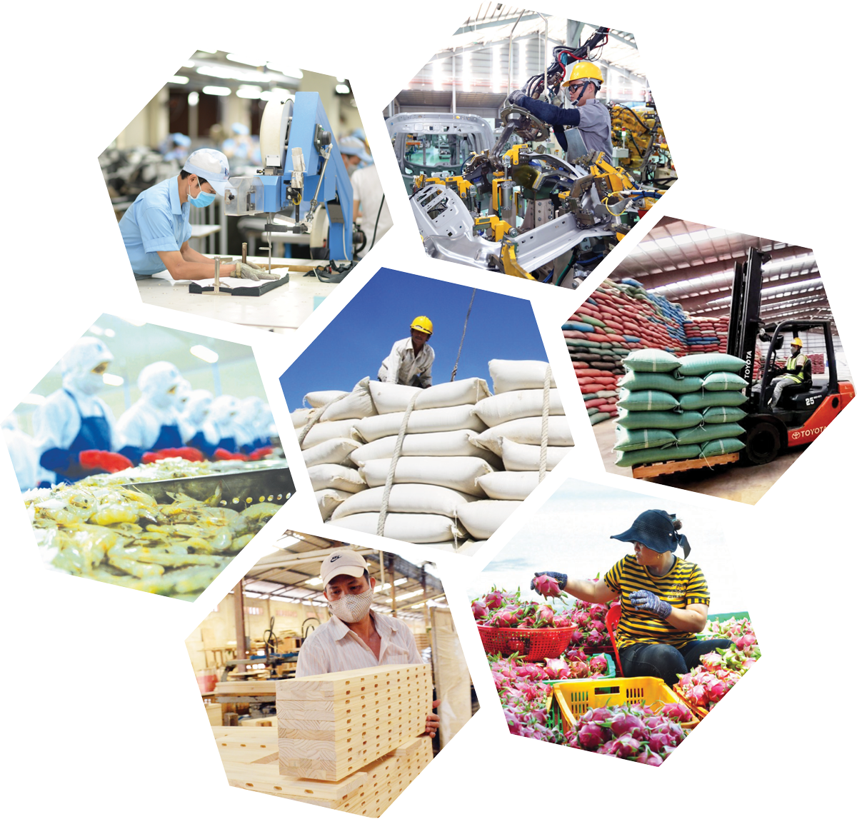 Nhiều mặt hàng xuất khẩu đứng top đầu thế giới nhưng không có nhiều sản phẩm được gắn thương hiệu doanh nghiệp Việt.