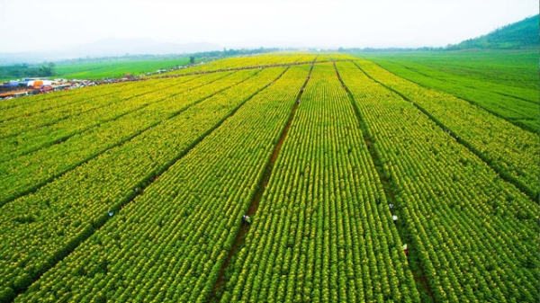 Những doanh nghiệp Việt lần đầu được vinh danh trong Top 10 Thương hiệu xanh 2022