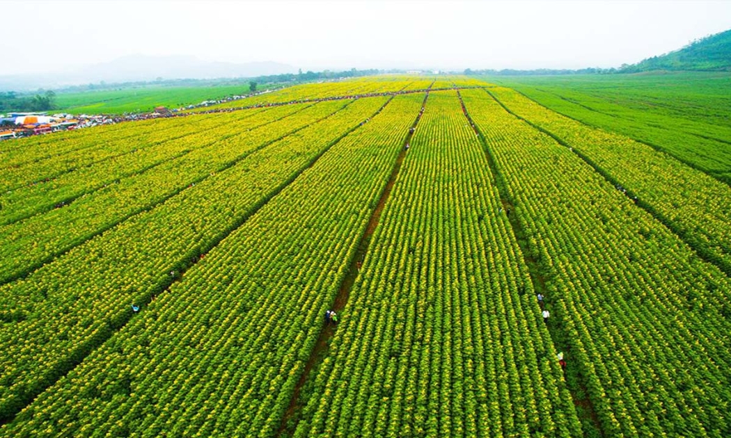 Tập đoàn TH với hệ thống trang trại xanh, bền vững được vinh danh trong Top 10 Thương hiệu xanh 2022