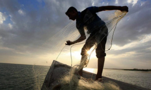 Thị trường xuống đáy 20 tháng, nhà đầu tư tháo chạy, lãnh đạo doanh nghiệp tung tiền gom cổ phiếu