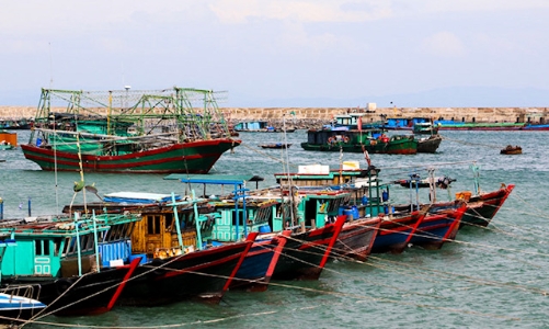 Quảng Ninh nỗ lực gỡ tiêu chí cảnh báo cuối cùng về vi phạm IUU