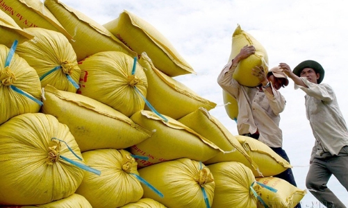 Thiên tai, thời tiết bất lợi sẽ đẩy giá gạo tiếp tục tăng mạnh đến giữa năm 2023?