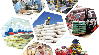 National brand growing in value