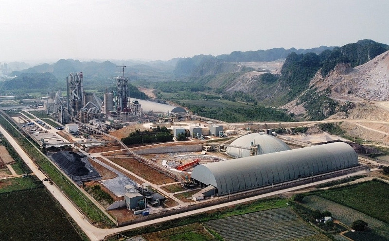 Một góc khai trường của Công ty Long Sơn