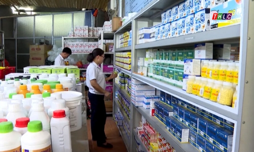 Thực hiện quy định mới về xuất nhập khẩu nguyên liệu làm thuốc thú y có chứa ma chất ma túy 