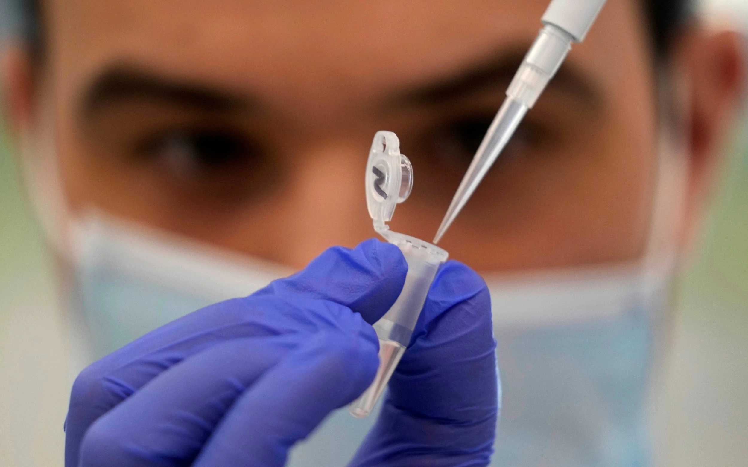 Ảnh: The Telegraph