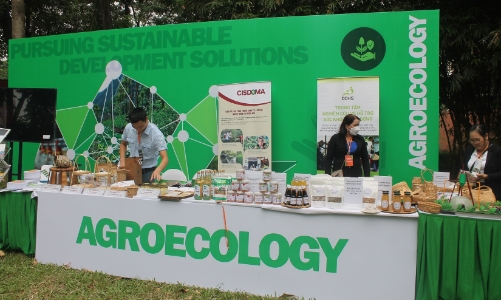 Con đường xanh hướng tới phát triển cộng đồng bền vững