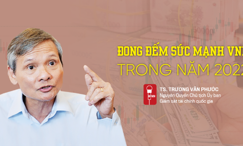 Đong đếm sức mạnh VND trong năm 2022