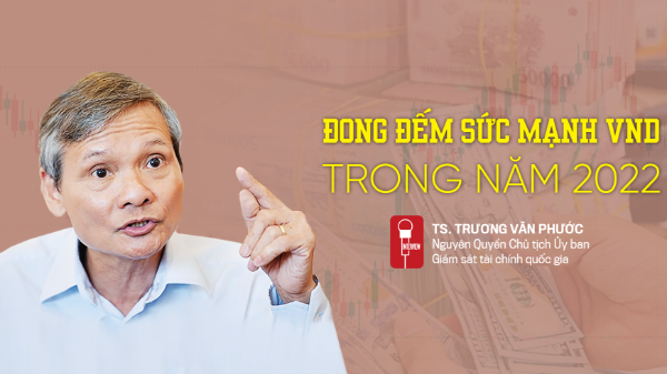 Đong đếm sức mạnh VND trong năm 2022