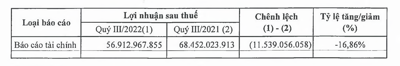 Lợi nhuận của DDV. 
