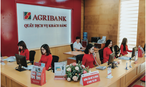 Kế hoạch tăng vốn điều lệ 5.000 tỷ đồng mỗi năm từ ngân sách của Agribank là không khả thi