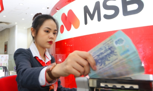 MSB báo lãi hơn 4.800 tỷ đồng trong 9 tháng đầu năm 2022