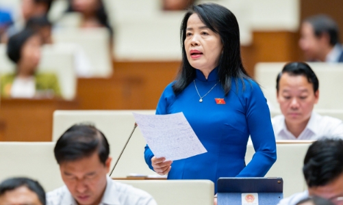 Tránh chồng chéo, cần đề nghị rõ số lượng thanh tra trong năm