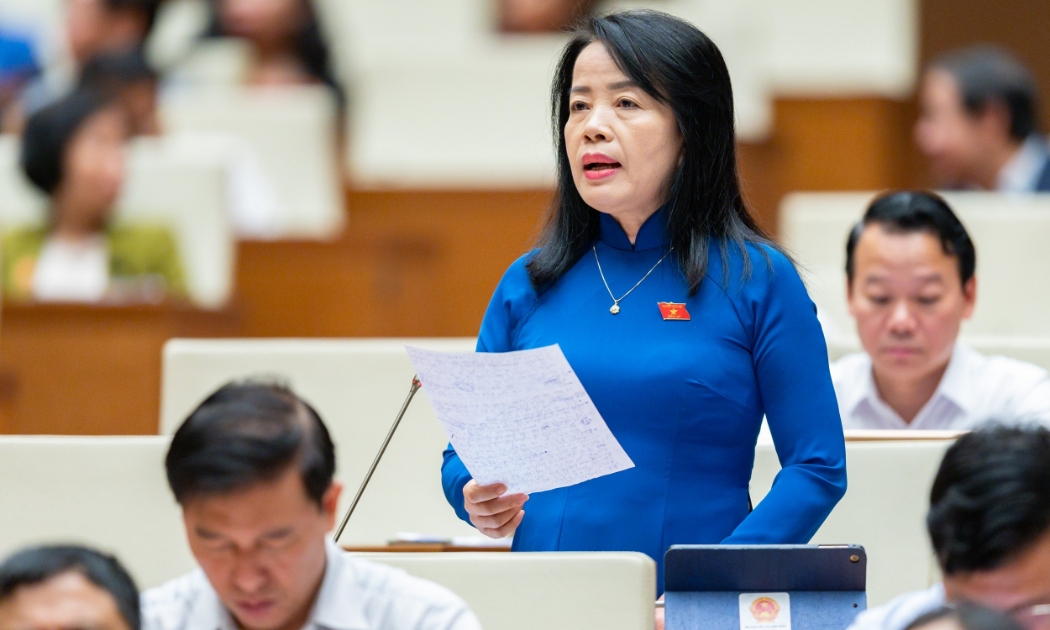 Đại biểu Nguyễn Thị Kim Thúy.