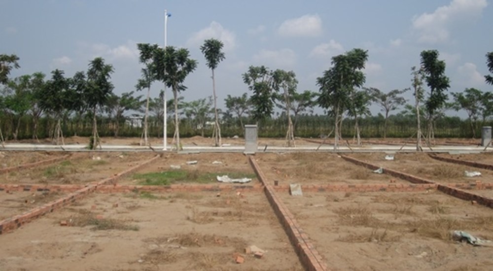 Ảnh minh họa.