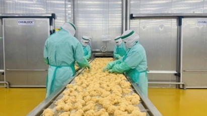 Processed chicken being exported to Japan