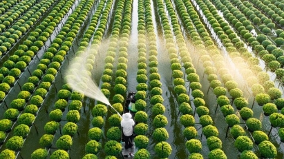 Little capital for high-tech agriculture