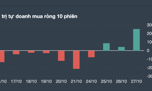 Tự doanh tập trung gom toàn cổ phiếu ngân hàng, mã nào được xuống tiền nhiều nhất? 