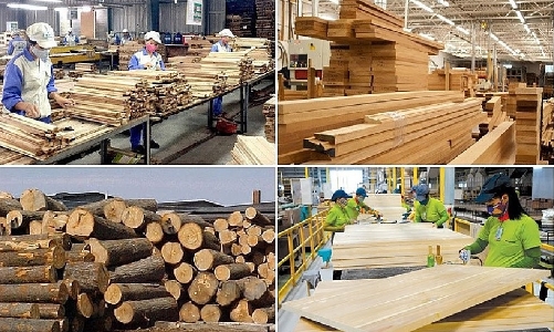 Thúc đẩy chuỗi giá trị gỗ hợp pháp và bền vững tại Việt Nam