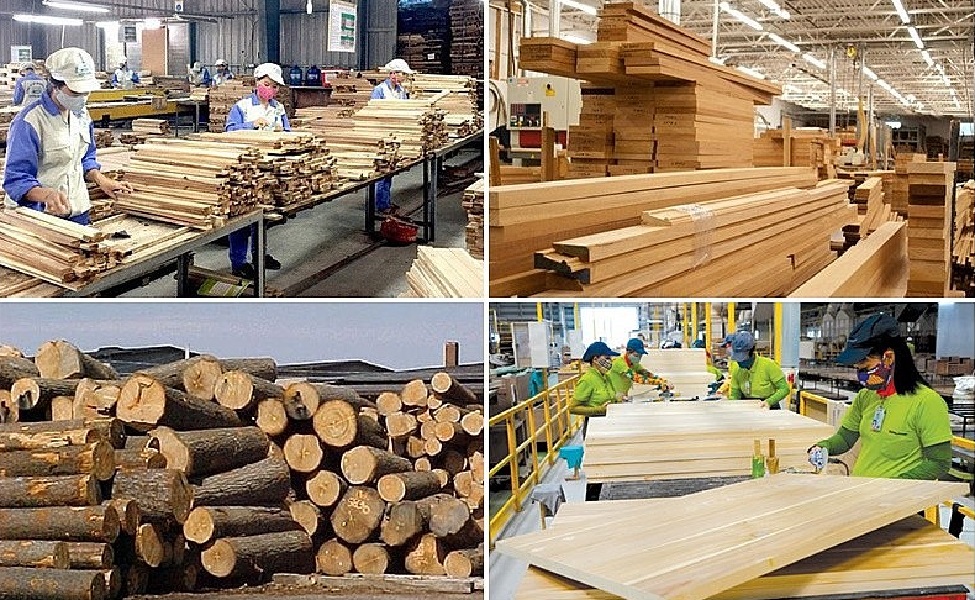 Dự báo, đến năm 2030, tổng kim ngạch xuất khẩu của ngành chế biến gỗ Việt Nam ước đạt 25 tỷ USD..