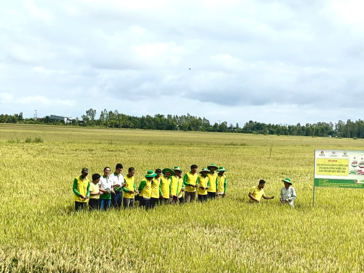 Hiệu quả từ các mô hình của Phân bón Cà Mau đang được bà con và cơ quan chức năng đánh giá cao, ghi nhận.