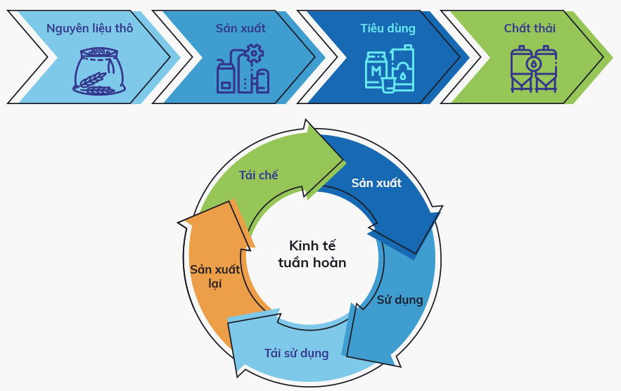 Mô hình kinh tế tuần hoàn đang được nhiều doanh nghiệp dụng.