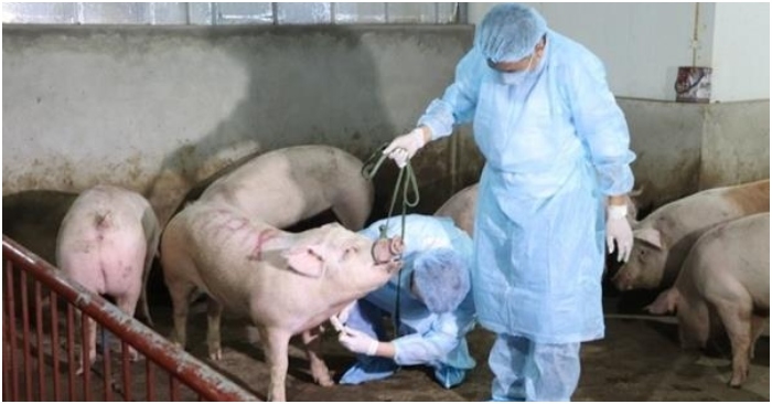 Ảnh minh họa: Long An