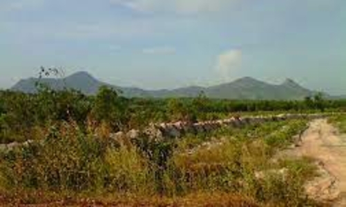 Lối tư duy nhiệm kỳ cũng là một nguyên nhân gây nên tình trạng lãng phí đất đai