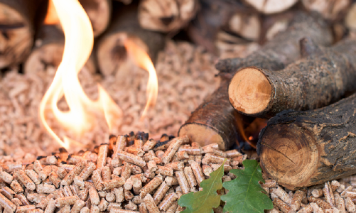 Viên nén trở thành mặt hàng xuất khẩu lớn thứ 4 trong ngành hàng gỗ