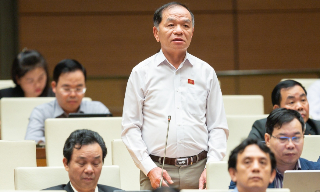 Đại biểu Lê Thanh Vân phát biểu tại phiên thảo luận - Ảnh: Quochoi.vn
