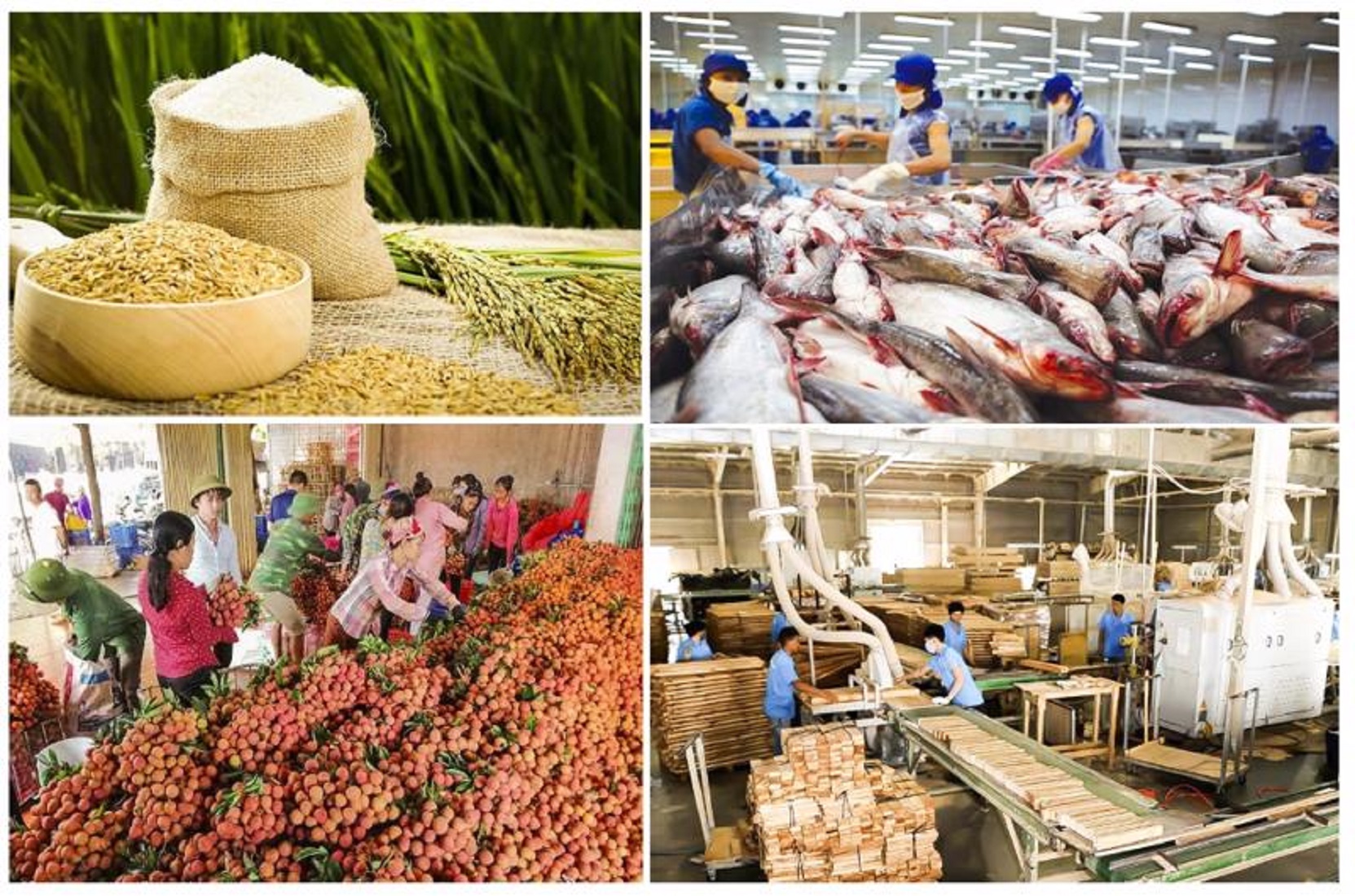 Xuất khẩu nông lâm thủy sản tăng trưởng cao.